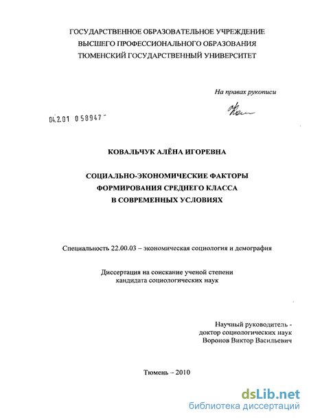 Курсовая работа по теме Социально-экономические проблемы формирования среднего класса