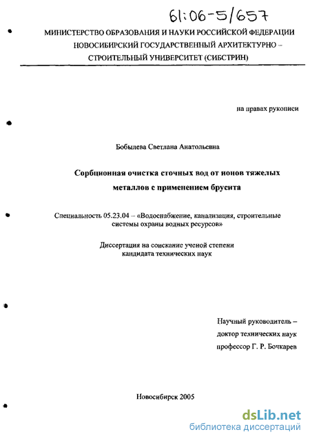 Доклад по теме Изучение и разработка очистки стоков от ионов тяжелых металлов 