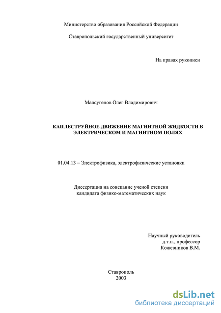 Доклад по теме Особенности процессов зарядообразования в слое магнитной жидкости