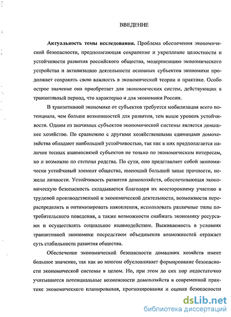 Курсовая работа по теме Исследование домохозяйства как составной части национальной экономики