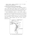           Leptomonas seymouri  Leptomonas collosoma