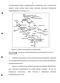       Clupeonella cultriventris (Nordmann, 1840)    #    