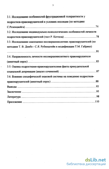 Сочинение: Подростковая субкультура, ее влияние на развитие личности школьника