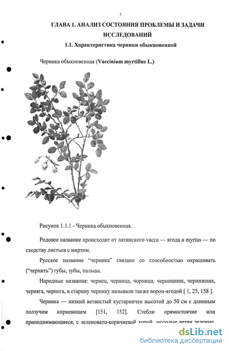 Курсовая работа по теме Антоциановый комплекс плодов черники (Vaccirium myrtillus L.)