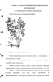            - vaccinium myrtillus L.