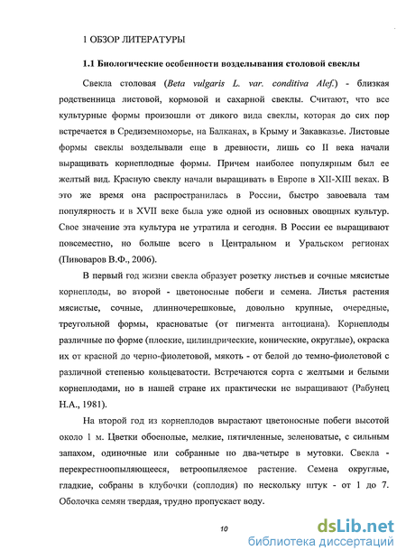 Курсовая работа: Пути совершенствования технологии возделывания столовой свеклы