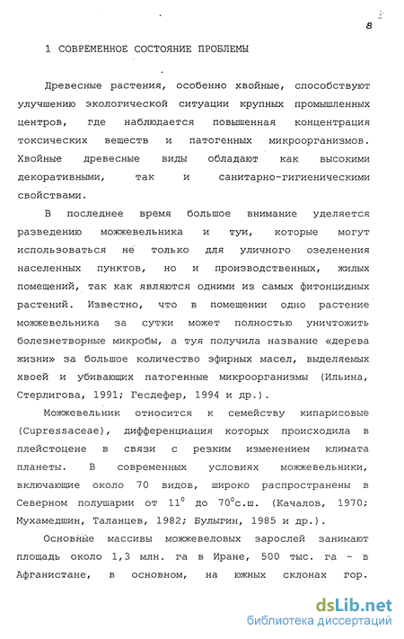 Контрольная работа по теме Укоренение черенков некоторых форм туи