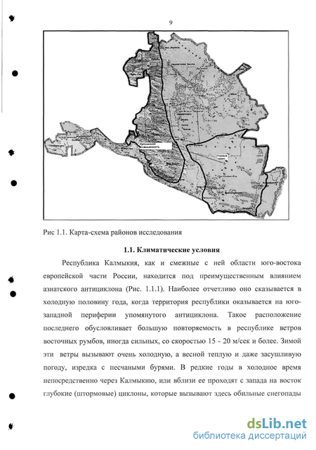 Курсовая работа по теме Экологическая характеристика рыб протоки Ендырской п. Луговской