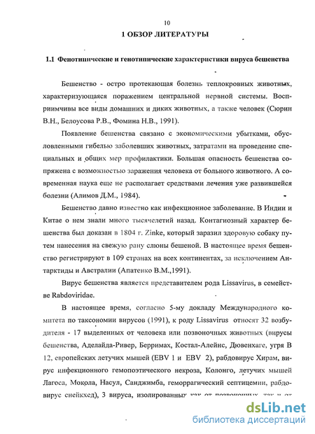 Реферат Бешенство По Инфекции