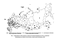        (Ixodes Persulcatus Schulze)   