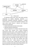     WEB-       
