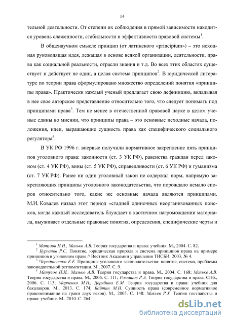 Курсовая Работа На Тему Принципы Уголовного Права