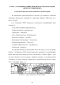       (Sambucus Nigra l.)   - 