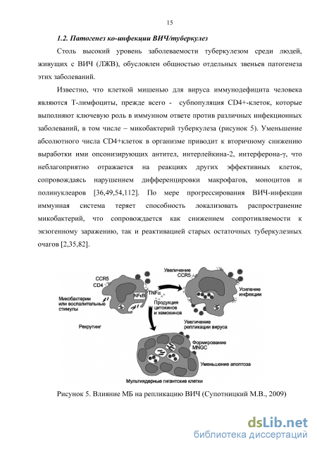 Контрольная работа по теме Вирус иммунодефицита человека и туберкулез