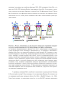        Drosophila melanogaster    TRF2