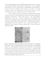      Nxf1 (nuclear export factor 1) Drosophila melanogaster,     