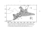  , Engraulis japonicus (Schlegel): ,    