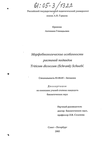     Triticum dicoccum (Schrank) Schuebl 