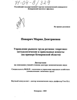 Управление рынком труда региона: теоретико-методологические и прикладные аспекты (На примере Кемеровской области) 