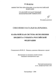 Казначейская система исполнения бюджета субъекта Российской Федерации