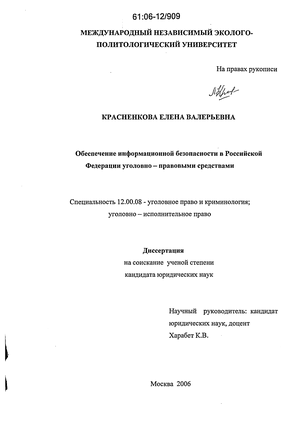 Доклад: Обеспечение информационной безопасности и уголовный закон