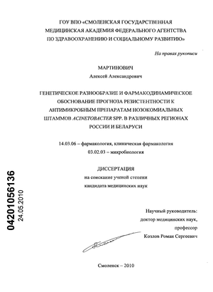             Acinetobacter spp.      