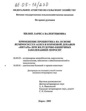     Ruminococcus albus    