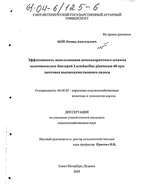       Lactobacillus plantarum 60     