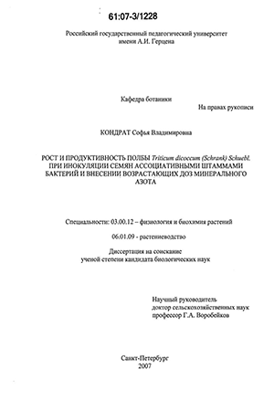     Triticum dicoccum (Schrank) Schuebl.            