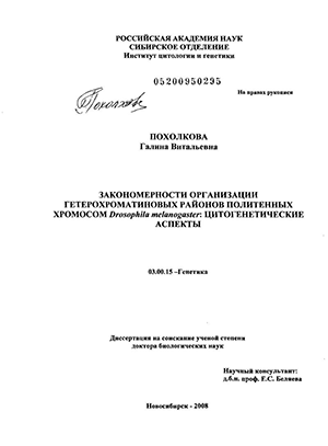       Drosophila melanogaster:  