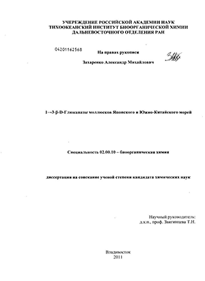 13--D-    - 