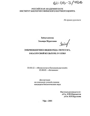    Triticum L.    in vitro 