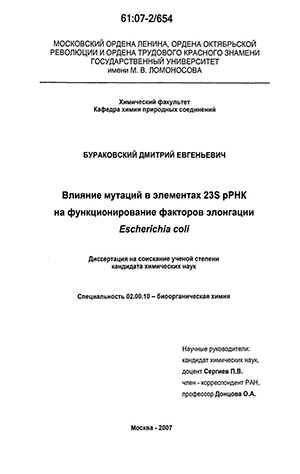     23S pPHK     Escherichia coli