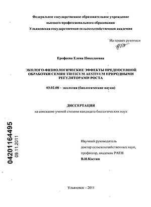 -     Triticum aestivum   