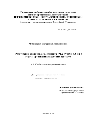    A- 370      