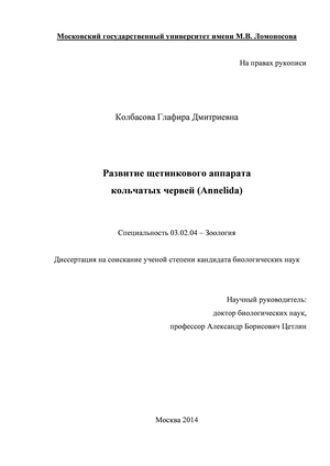      (Annelida)