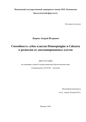    Demospongiae  Calcarea     .